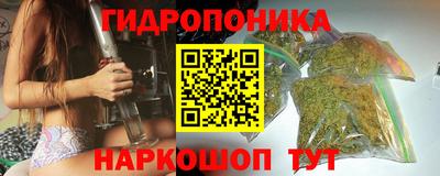спиды Аргун