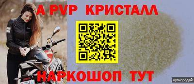 спиды Аргун