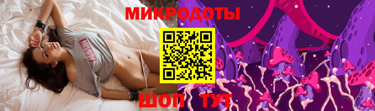Галлюциногенные грибы Psilocybe  Галлюциногенные грибы мицелий  Артём  Вход с VPN 